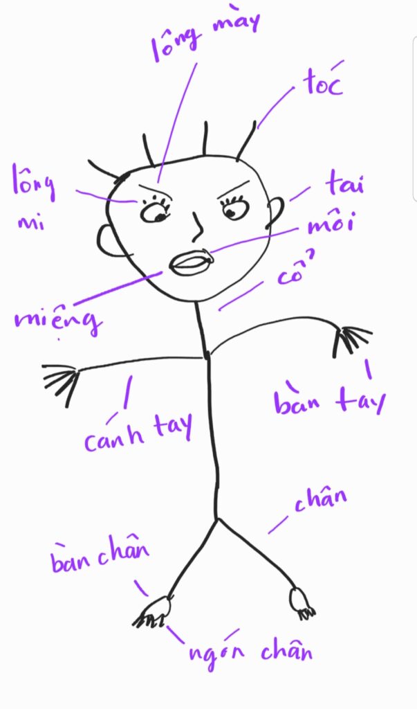Body parts in Vietnamese - Learn Vietnamese - Học Tiếng Việt