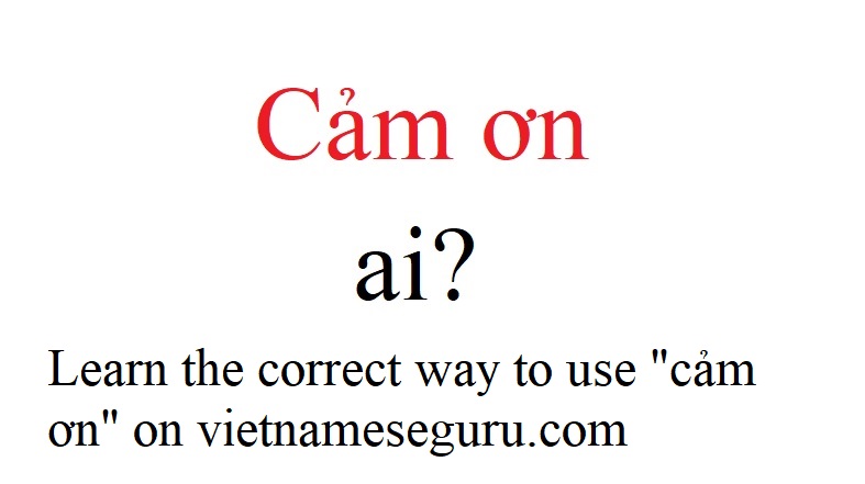 How Do You Say Thank You In Vietnamese Pronunciation